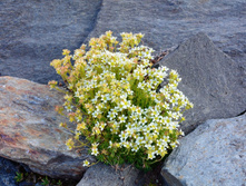DSC_2440_01.JPG