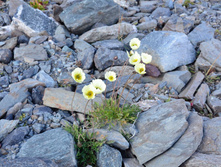 DSC_2441_01.JPG