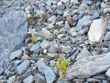 DSC_2455_01.JPG