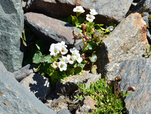 DSC_2488_01.JPG