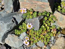 DSC_2494_01.JPG