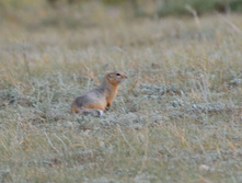 DSC_2670_01.JPG