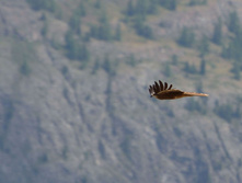 DSC_2683_01.JPG