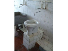010.jpg