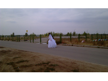IMAG0921.jpg