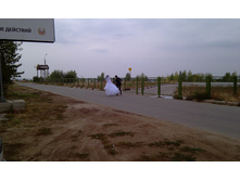 IMAG0922.jpg