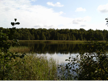 PIC_0006.JPG