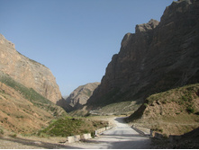 MG_4799.jpg