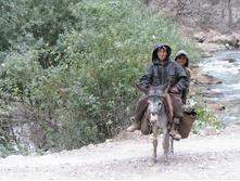 MG_4805.jpg