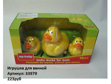 33979.jpg