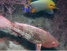 GEDC0270.JPG