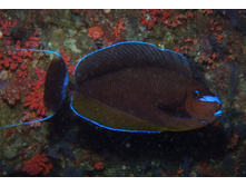 GEDC0286.JPG