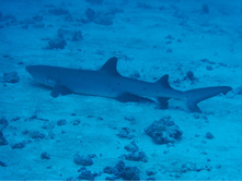GEDC0467.JPG