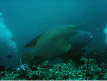 GEDC0613.JPG