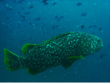 GEDC0932.JPG