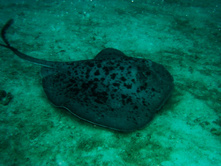 GEDC0935.JPG