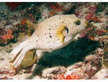 GEDC0997.JPG