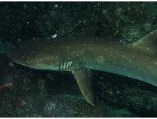 GEDC1017.JPG
