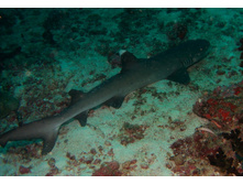 GEDC1040.JPG