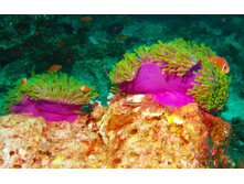 GEDC1057.JPG