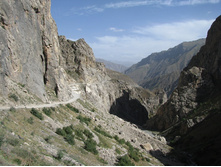 MG_4837.jpg