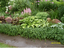 SDC16222.JPG