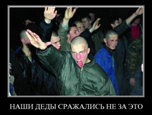 45.jpg