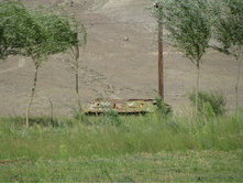 MG_4898.jpg