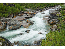 _DSC7876.jpg