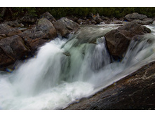 _DSC8064.jpg