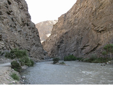 MG_4974.jpg