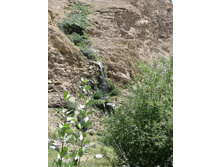 MG_4948.jpg