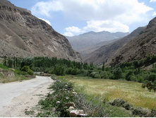 MG_4954.jpg