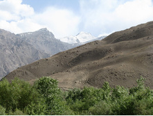 MG_4964.jpg