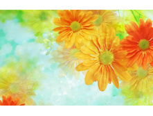 HS004_350AAAA_resize.jpg