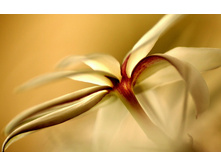 426974716_resize.jpg