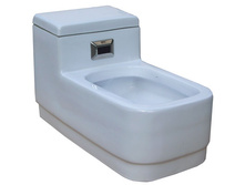 Cat_toilet_400.jpg