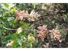 ���� 2011.08.23 14.56.31.JPG