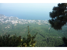 ���� 2011.08.25 16.25.27.JPG