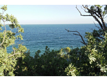 ���� 2011.08.26 18.47.22.JPG