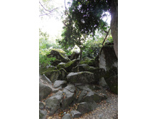 ���� 2011.08.26 19.10.39.JPG