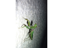 ���� 2011.08.28 22.56.26.JPG