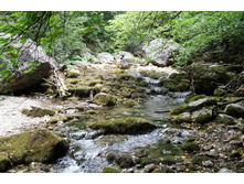 ���� 2011.08.31 11.46.24.JPG