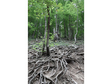 ���� 2011.08.31 13.30.58.JPG