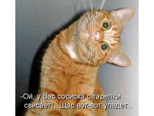  ��� - �������������� ����������