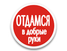 ������ 37 �� - ������� � ������ ����.jpg