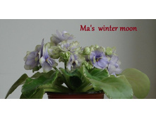 Ma’s winter moon