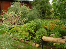 SDC17211.JPG