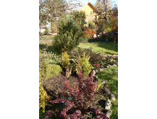 SDC16758.JPG