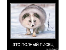 1302416223_eto-polniy-pisec.jpg